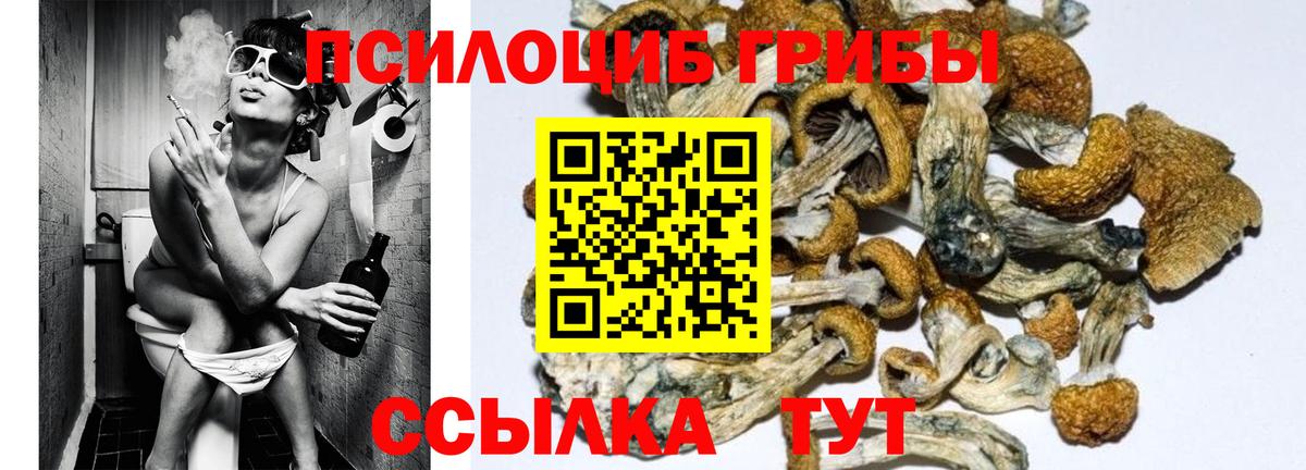 Галлюциногенные грибы GOLDEN TEACHER  Галлюциногенные грибы Magic Shrooms  Коммунар  Вход с VPN 