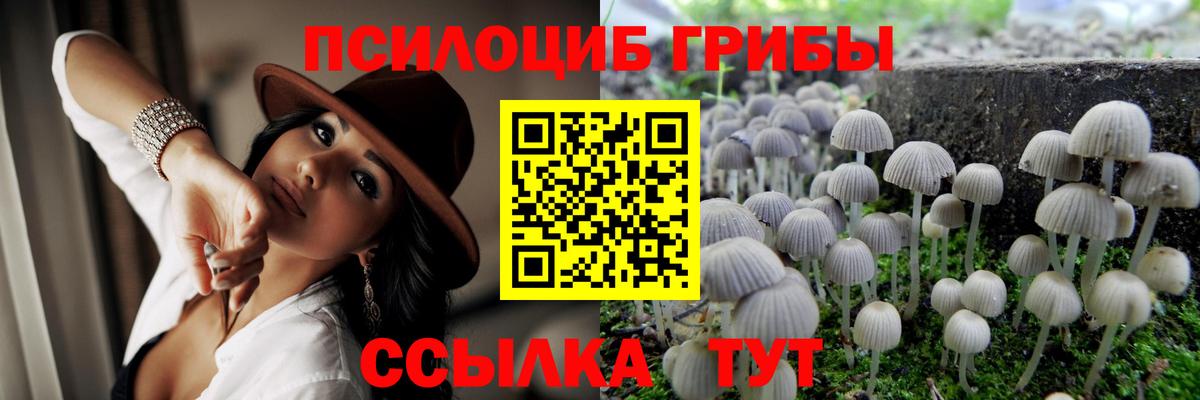 Галлюциногенные грибы Psilocybine cubensis Коммунар